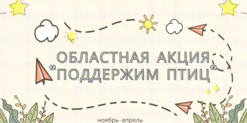 экологическая акция "Поддержим птиц"